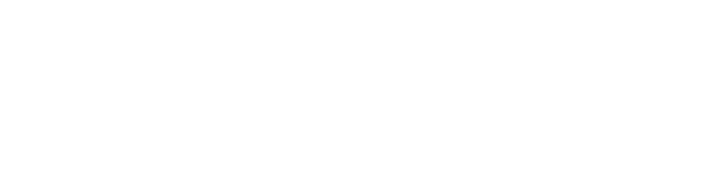 VINCI